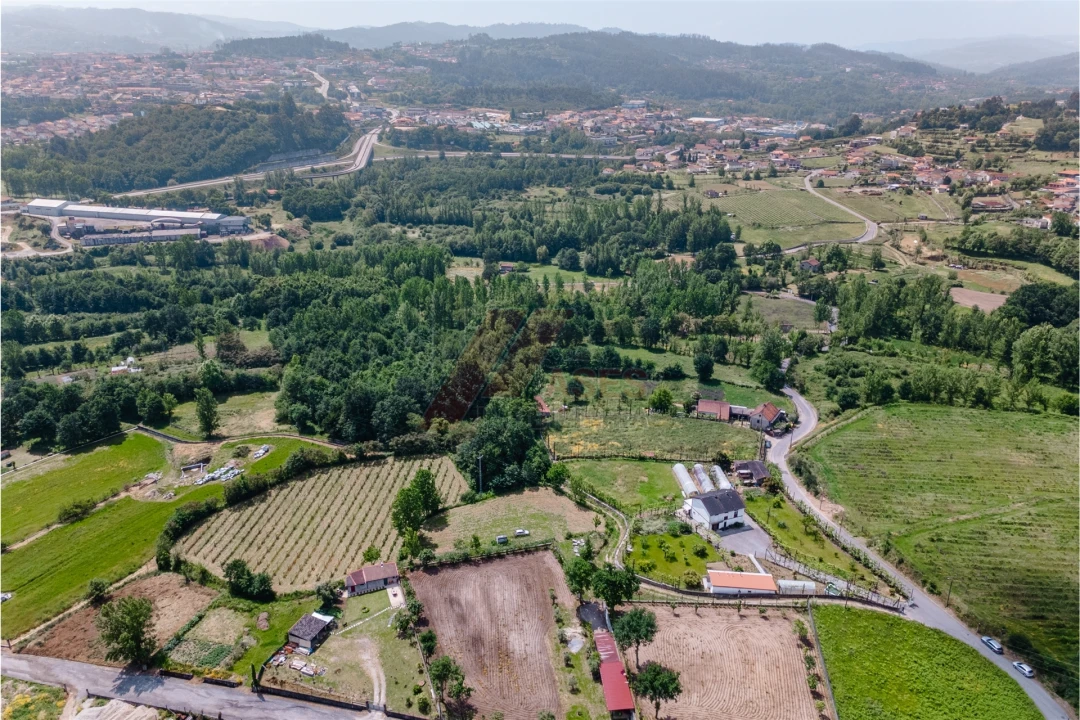 Terreno Agricola ou Rústico para Venda em Golães Foto 5