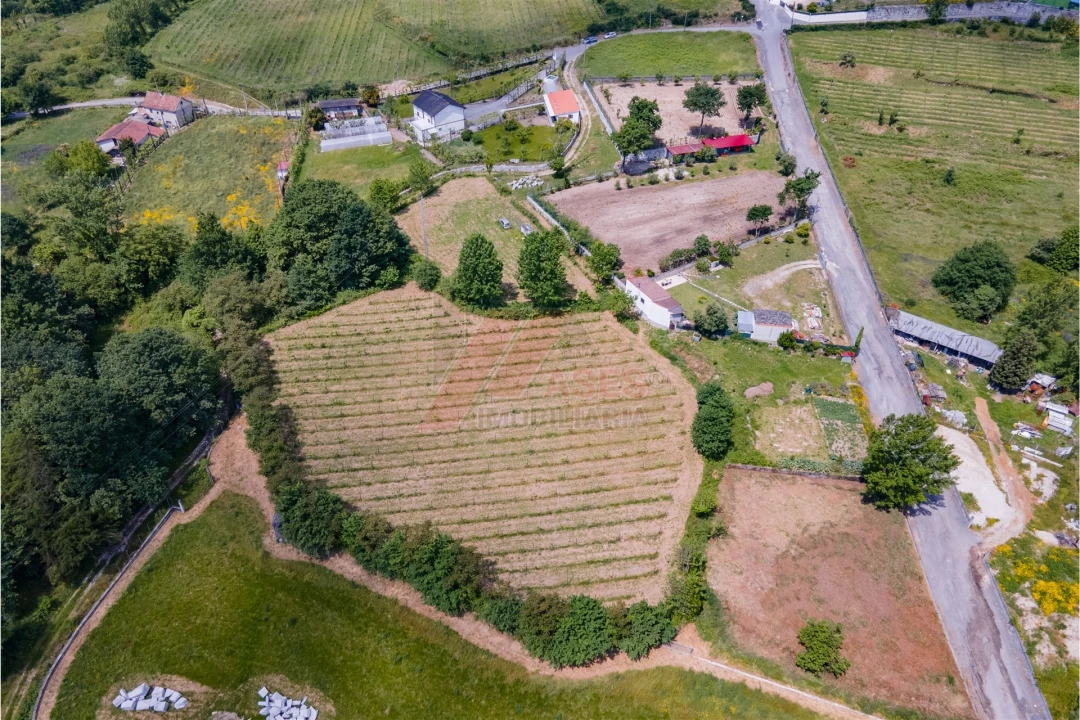 Terreno Agricola ou Rústico para Venda em Golães Foto 8