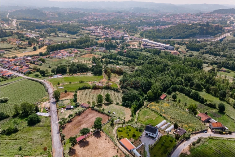 Terreno Agricola ou Rústico para Venda em Golães Foto 6