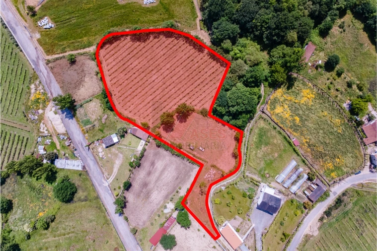 Terreno Agricola ou Rústico para Venda em Golães Foto 1