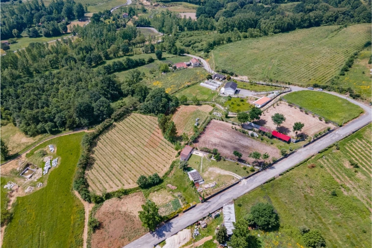 Terreno Agricola ou Rústico para Venda em Golães Foto 4