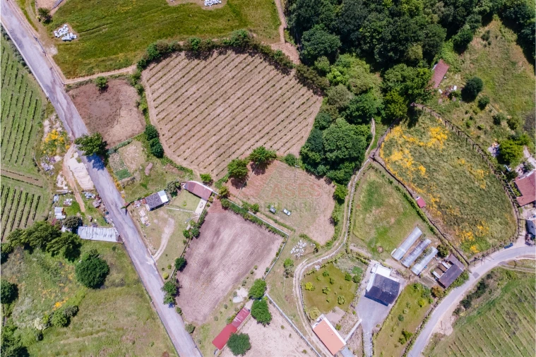 Terreno Agricola ou Rústico para Venda em Golães Foto 2
