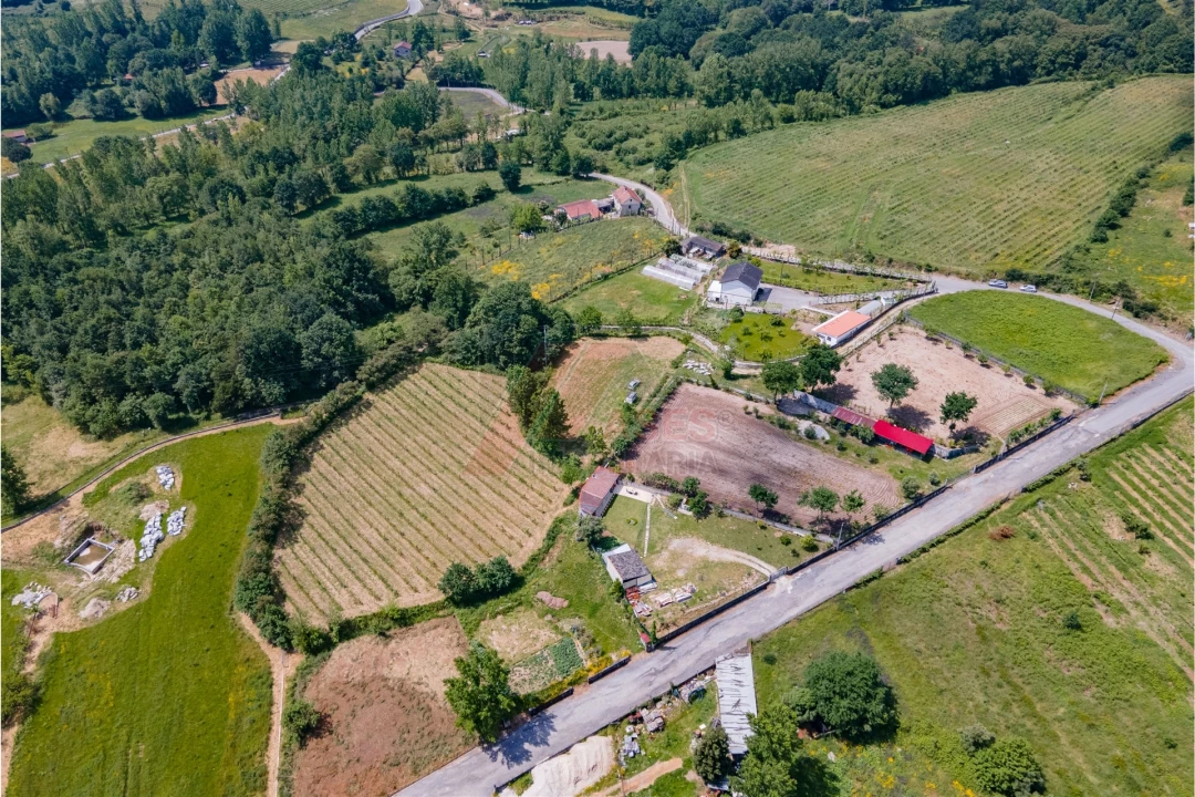 Terreno Agricola ou Rústico para Venda em Golães Foto 4