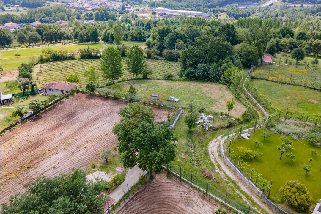 Terreno Agricola ou Rústico para Venda em Golães Foto 10