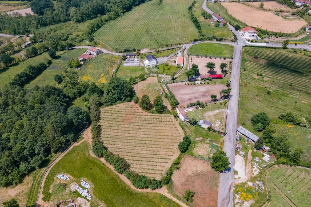 Terreno Agricola ou Rústico para Venda em Golães Foto 3