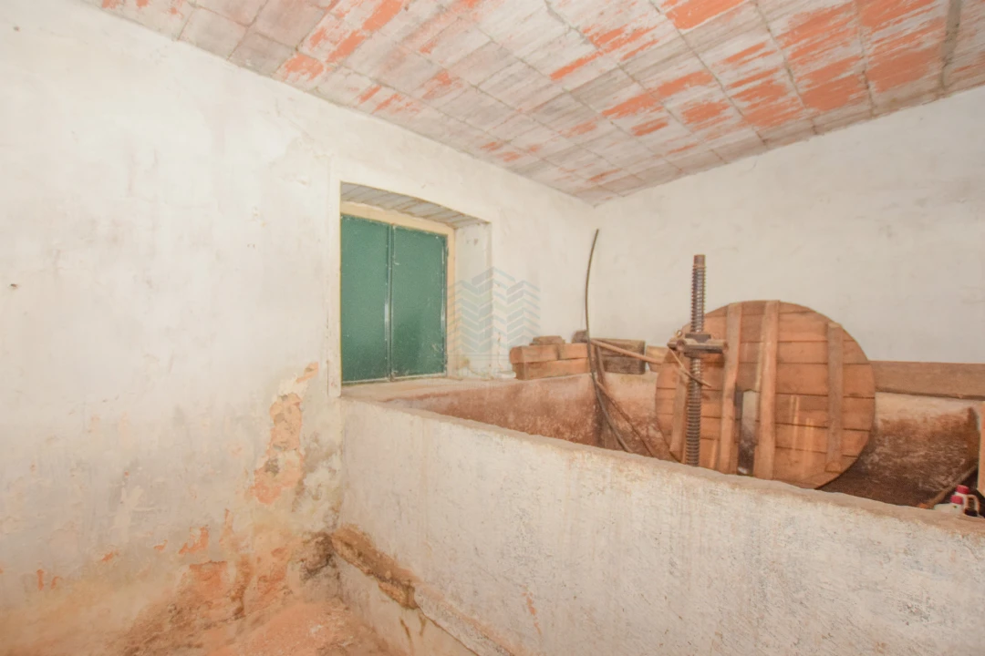 Moradia T3 para Venda em Torres Novas (São Pedro), Lapas e Ribeira Branca Foto 51