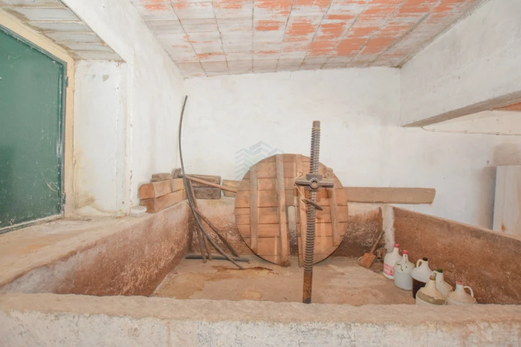 Moradia T3 para Venda em Torres Novas (São Pedro), Lapas e Ribeira Branca Foto 52