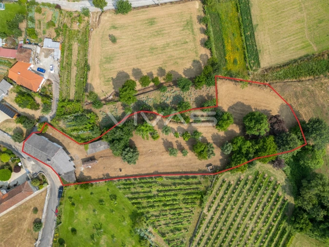 Moradia T4 para Venda em Escariz (São Mamede) e Escariz (São Martinho) Foto 28