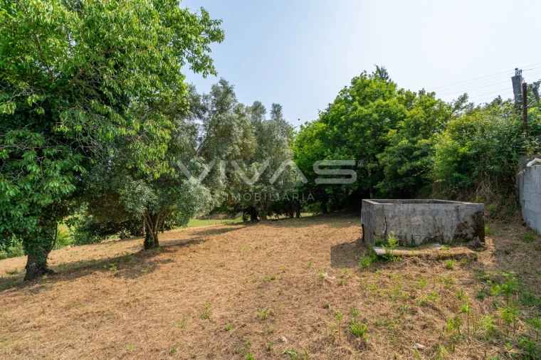 Moradia T4 para Venda em Escariz (São Mamede) e Escariz (São Martinho) Foto 21