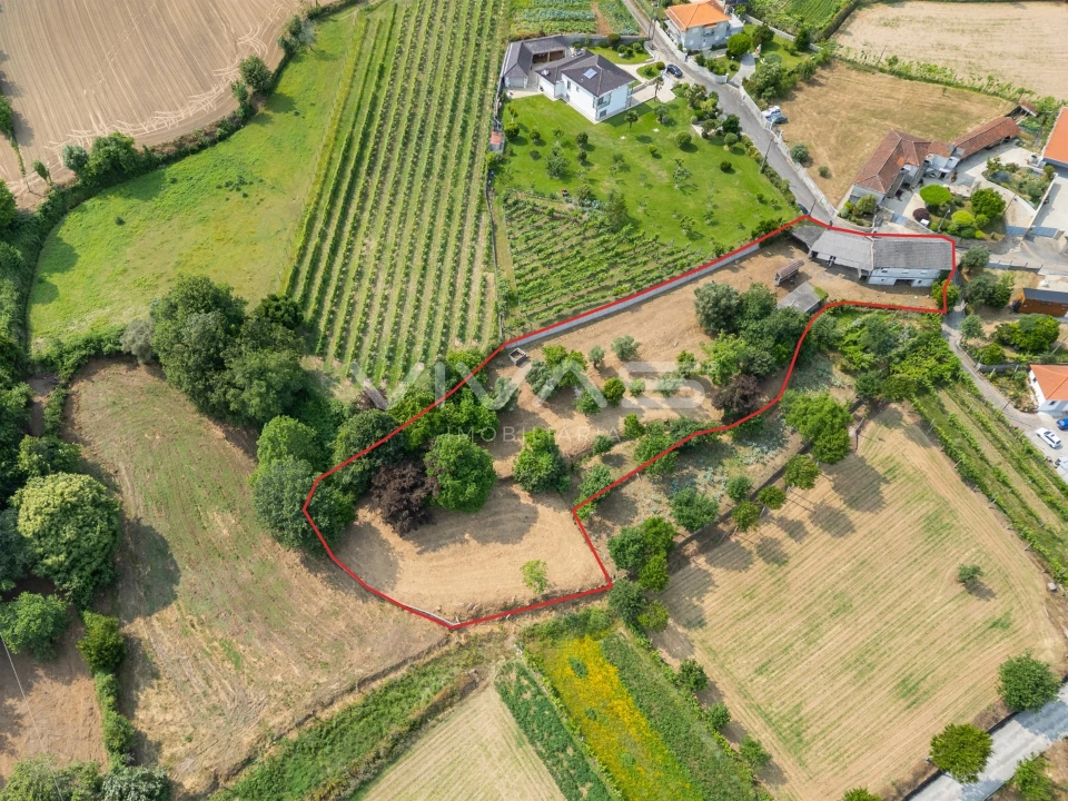 Moradia T4 para Venda em Escariz (São Mamede) e Escariz (São Martinho) Foto 29