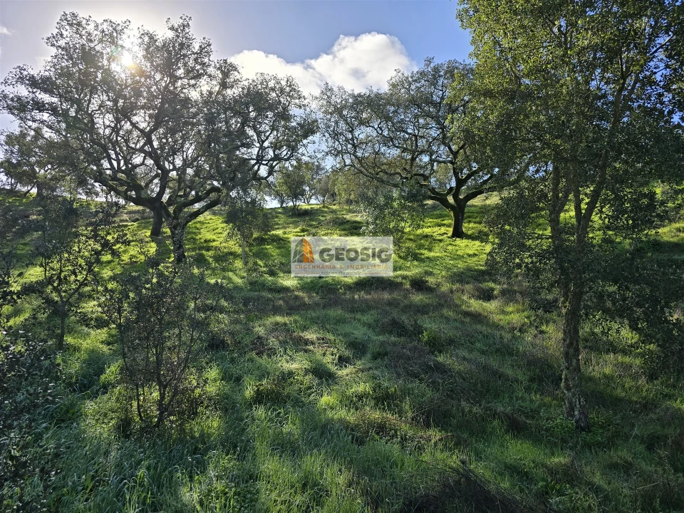 Quinta T2 para Venda em Santa Clara-A-Nova e Gomes Aires Foto 28