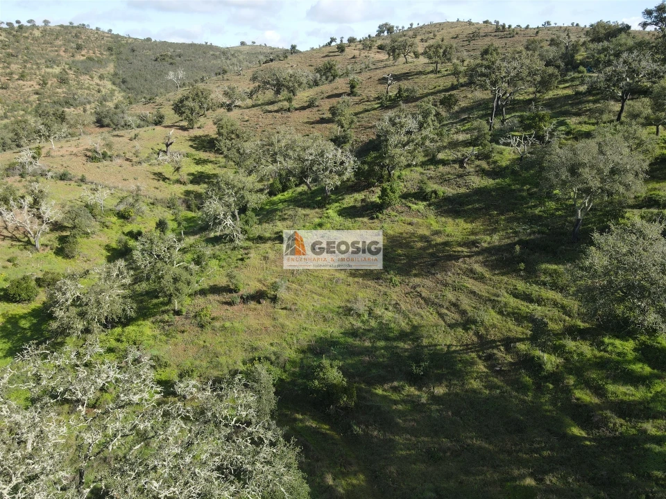 Quinta T2 para Venda em Santa Clara-A-Nova e Gomes Aires Foto 42