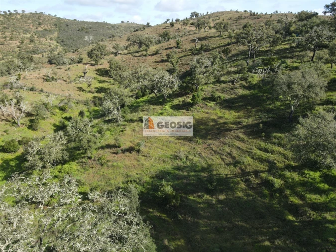 Quinta T2 para Venda em Santa Clara-A-Nova e Gomes Aires Foto 42