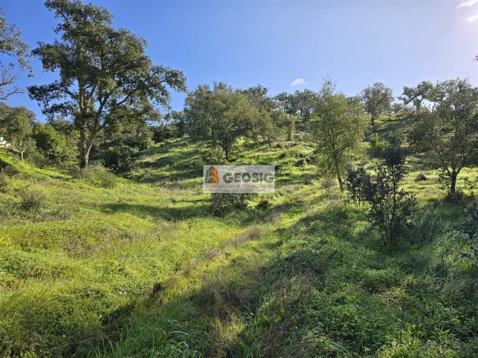 Quinta T2 para Venda em Santa Clara-A-Nova e Gomes Aires Foto 29