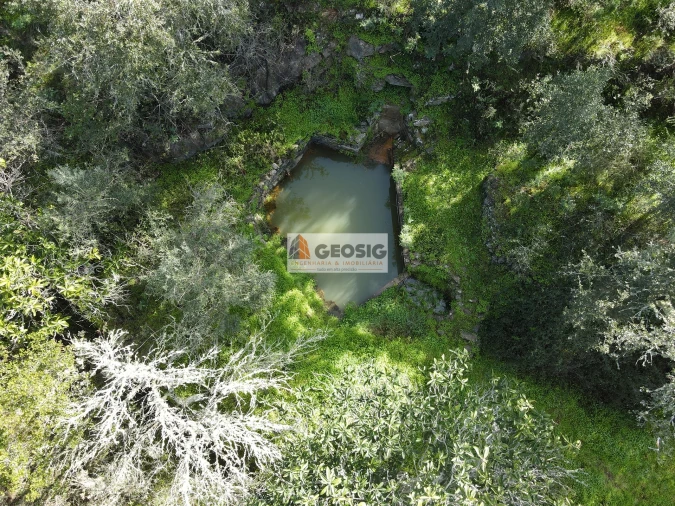 Quinta T2 para Venda em Santa Clara-A-Nova e Gomes Aires Foto 41