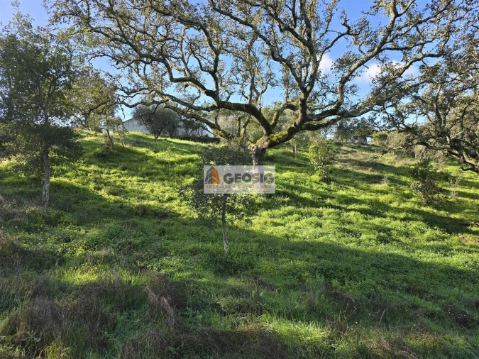 Quinta T2 para Venda em Santa Clara-A-Nova e Gomes Aires Foto 25