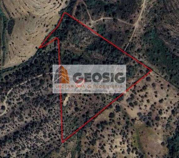 Quinta T2 para Venda em Santa Clara-A-Nova e Gomes Aires Foto 43