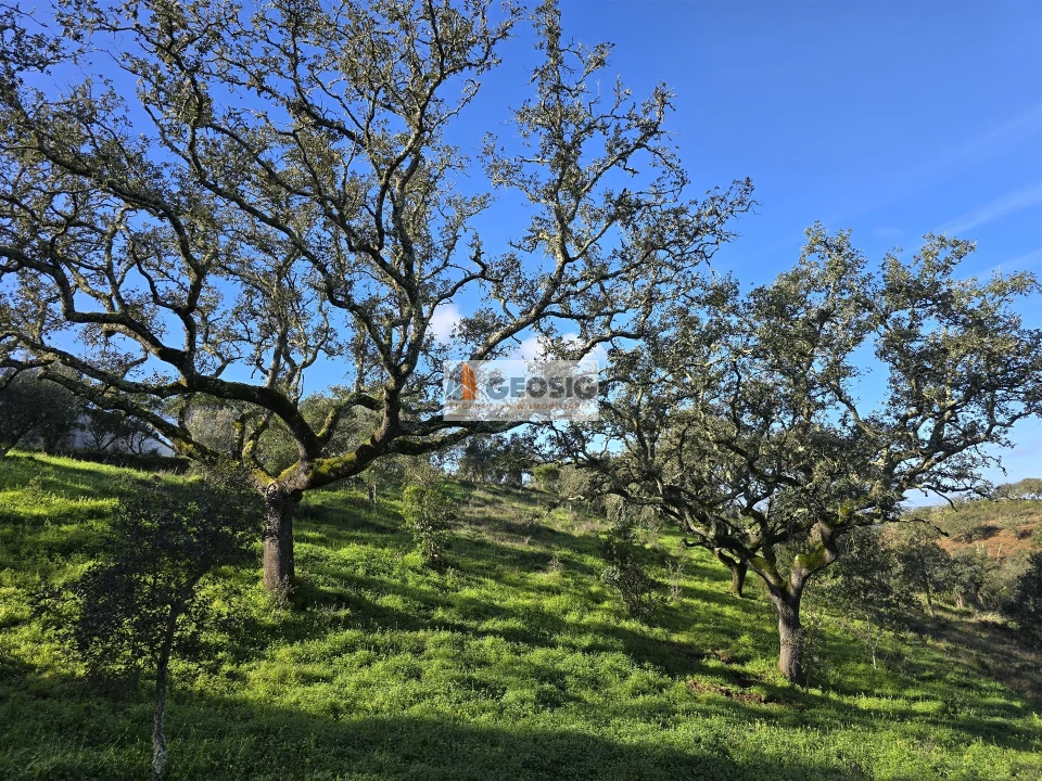 Quinta T2 para Venda em Santa Clara-A-Nova e Gomes Aires Foto 24