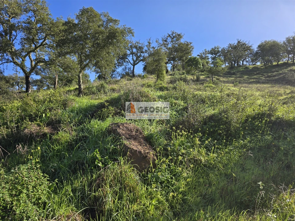 Quinta T2 para Venda em Santa Clara-A-Nova e Gomes Aires Foto 27