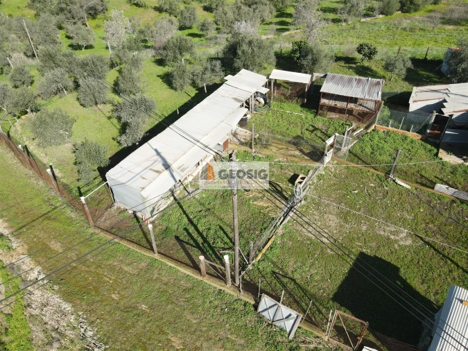 Terreno para Venda em Espirito Santo Foto 5