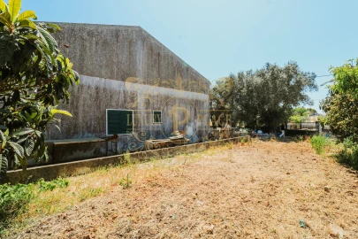 Terreno para Venda em Sesimbra (Castelo)