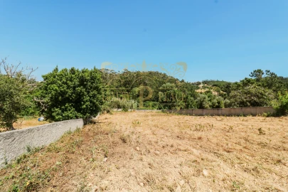 Terreno para Venda em Sesimbra (Castelo)