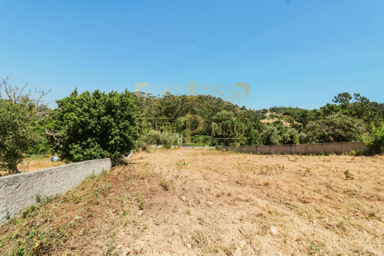 Terreno para Venda em Sesimbra (Castelo) Foto 12