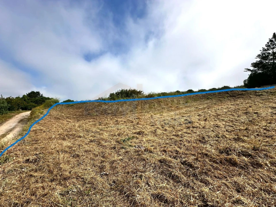 Terreno para Venda em Santa Maria, São Pedro e Sobral da Lagoa Foto 3