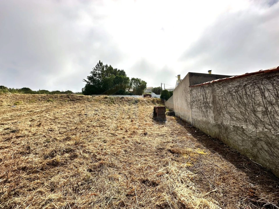 Terreno para Venda em Santa Maria, São Pedro e Sobral da Lagoa Foto 14
