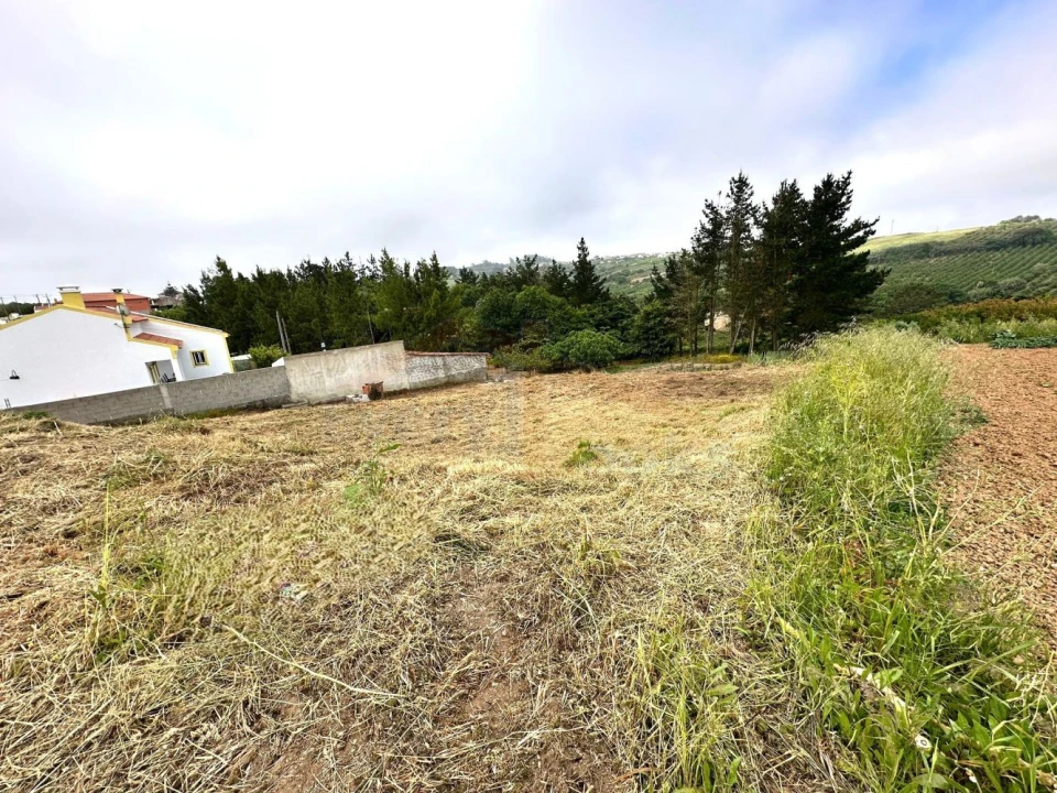 Terreno para Venda em Santa Maria, São Pedro e Sobral da Lagoa Foto 15