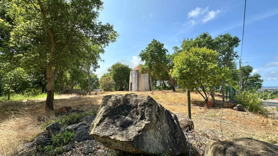 Terreno para Venda em Santa Maria, São Pedro e Sobral da Lagoa Foto 29