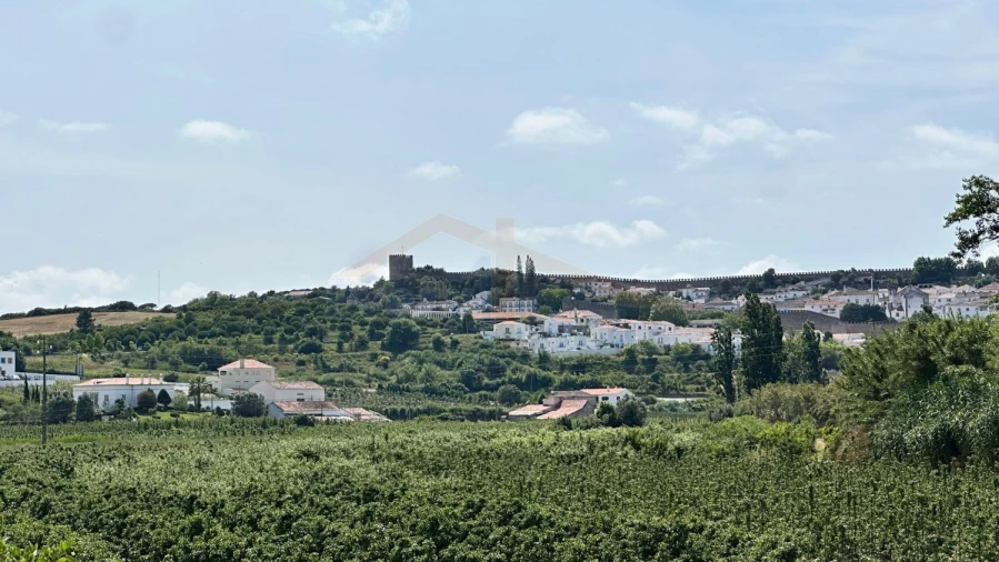Terreno para Venda em Santa Maria, São Pedro e Sobral da Lagoa Foto 31
