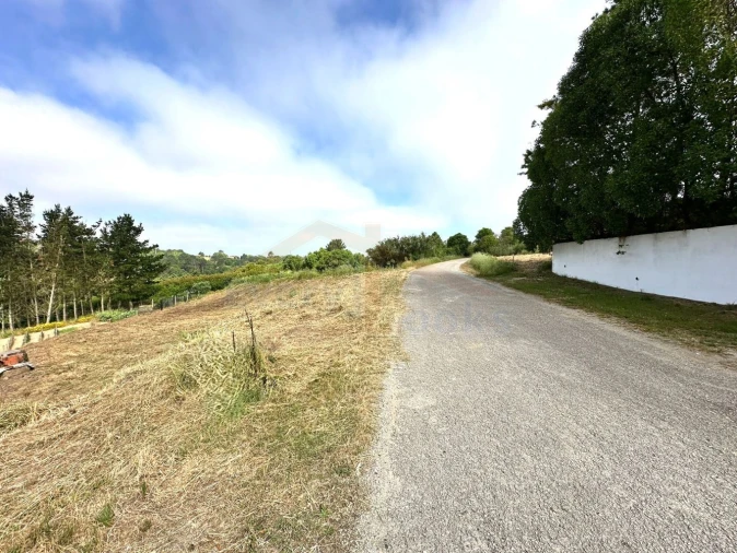 Terreno para Venda em Santa Maria, São Pedro e Sobral da Lagoa Foto 26