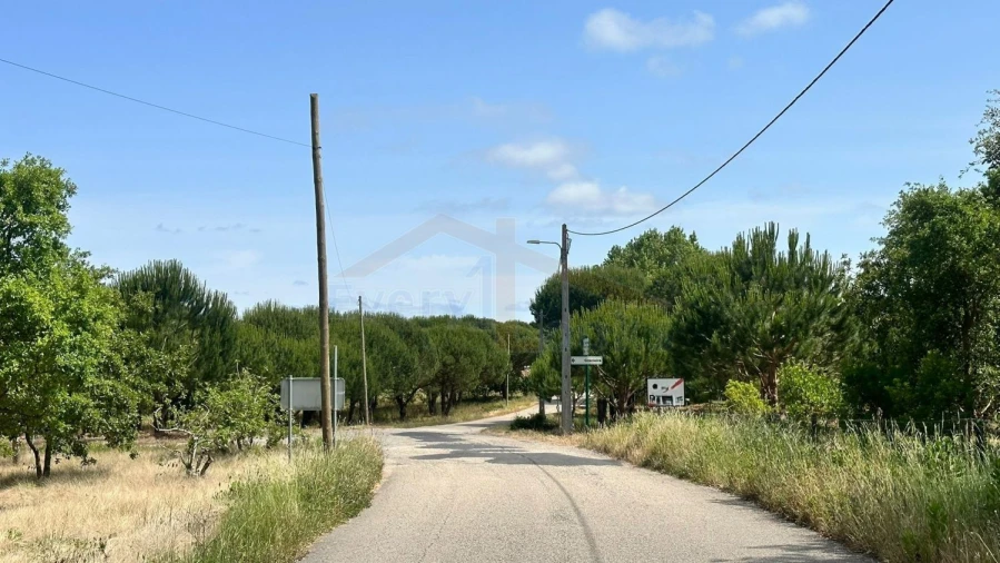 Terreno para Venda em Santa Maria, São Pedro e Sobral da Lagoa Foto 24