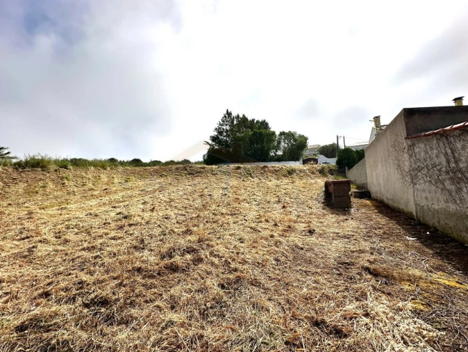 Terreno para Venda em Santa Maria, São Pedro e Sobral da Lagoa Foto 12