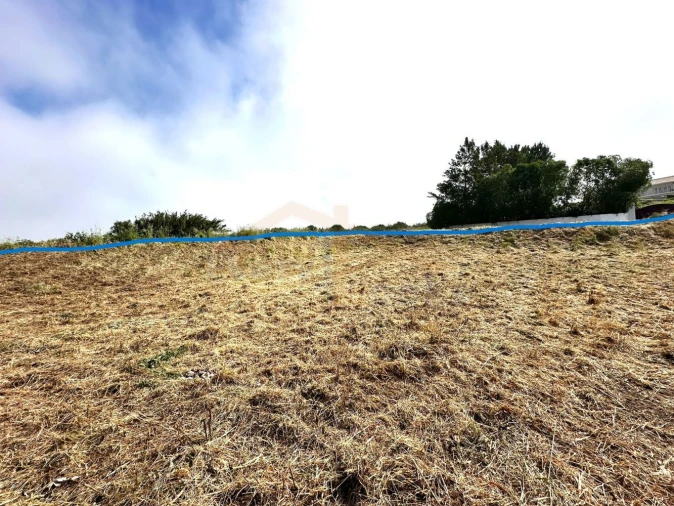 Terreno para Venda em Santa Maria, São Pedro e Sobral da Lagoa Foto 13