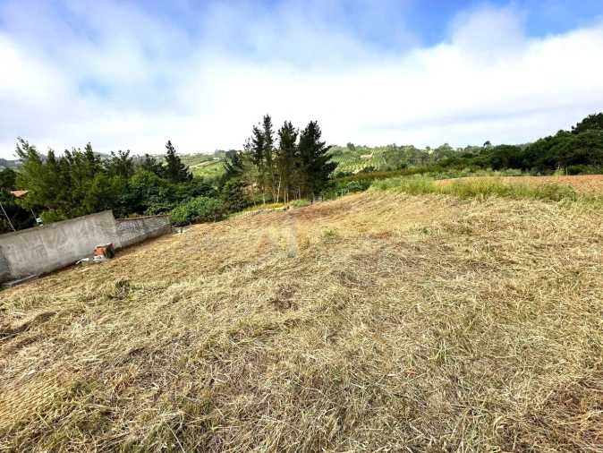 Terreno para Venda em Santa Maria, São Pedro e Sobral da Lagoa Foto 10