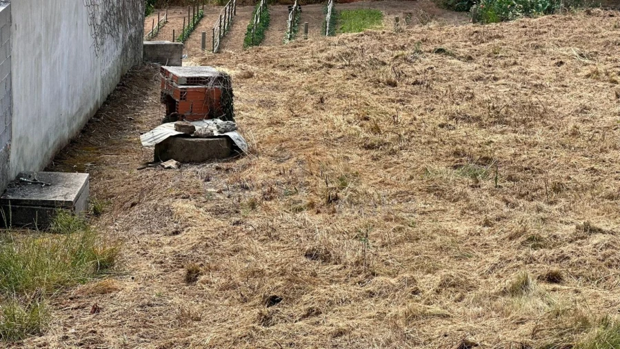 Terreno para Venda em Santa Maria, São Pedro e Sobral da Lagoa Foto 16