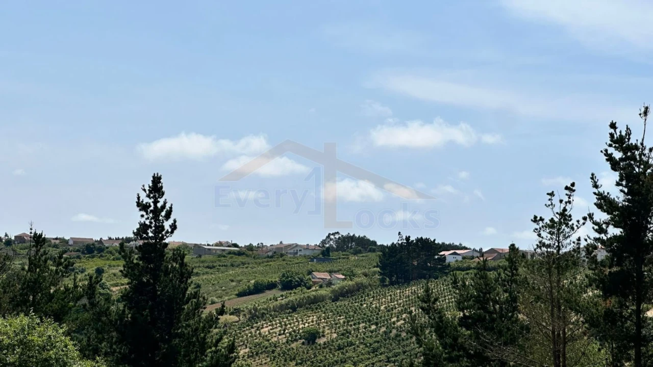 Terreno para Venda em Santa Maria, São Pedro e Sobral da Lagoa Foto 22