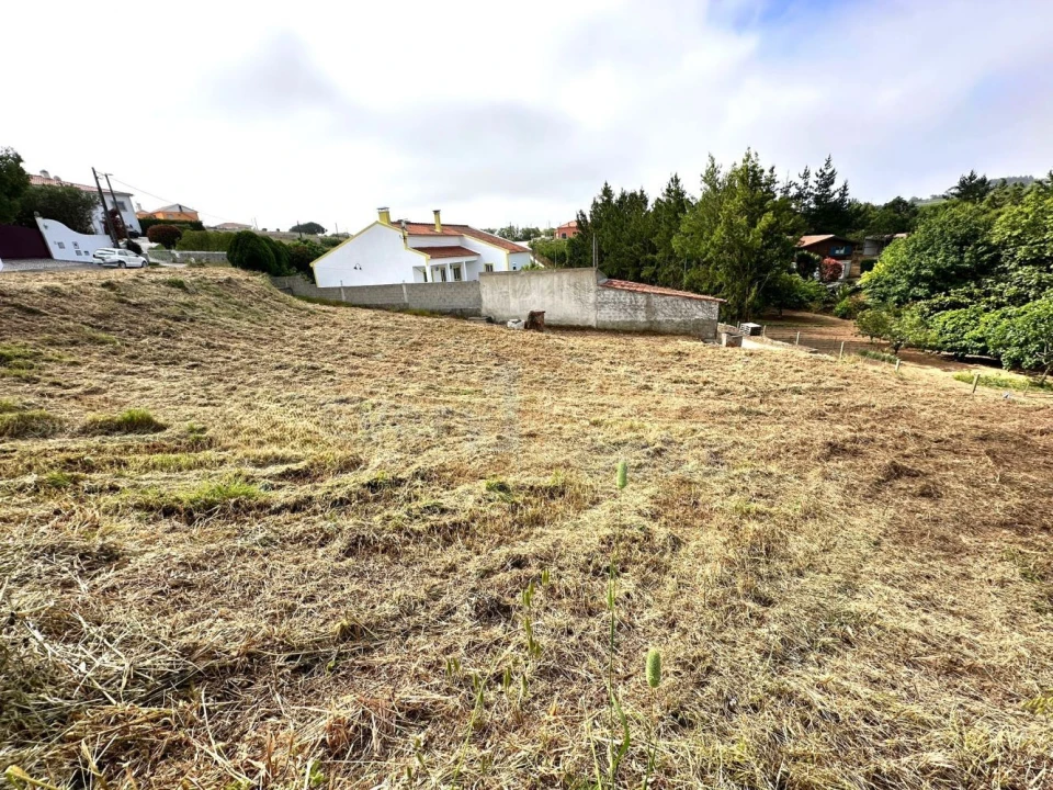 Terreno para Venda em Santa Maria, São Pedro e Sobral da Lagoa Foto 9