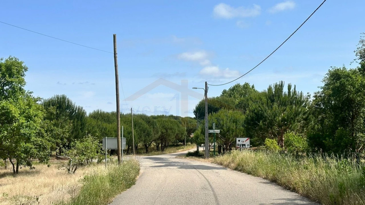Terreno para Venda em Santa Maria, São Pedro e Sobral da Lagoa Foto 24