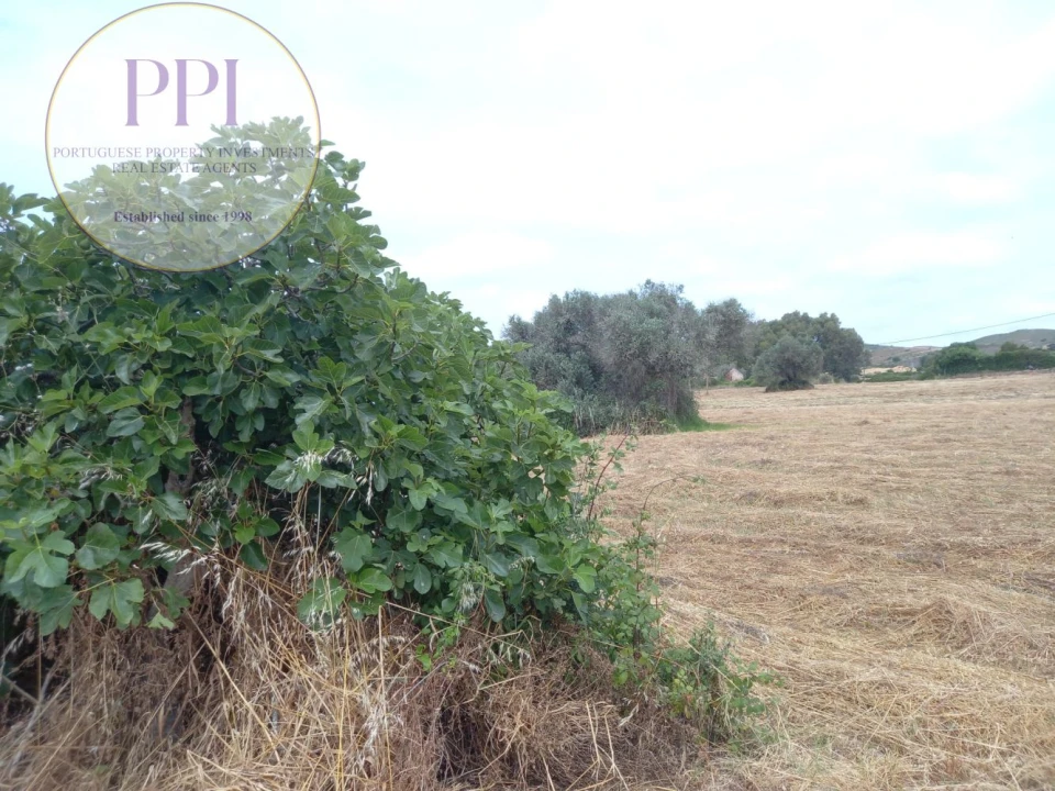 Terreno para Venda em Budens Foto 12