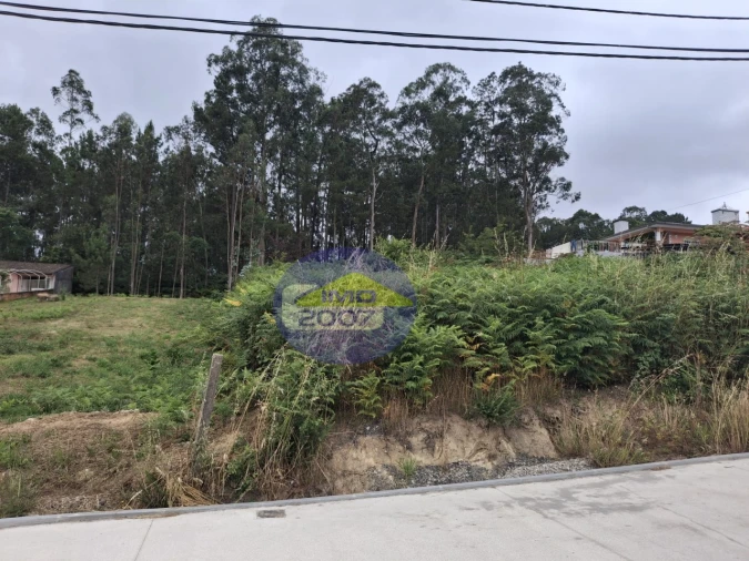 Terreno para Venda em São Miguel do Souto e Mosteirô Foto 18