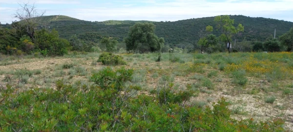 Terreno para Venda em Santa Barbara de Nexe