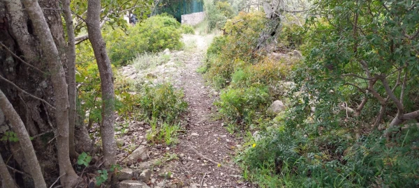 Terreno para Venda em Santa Barbara de Nexe