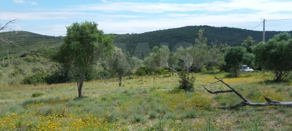Terreno para Venda em Santa Barbara de Nexe