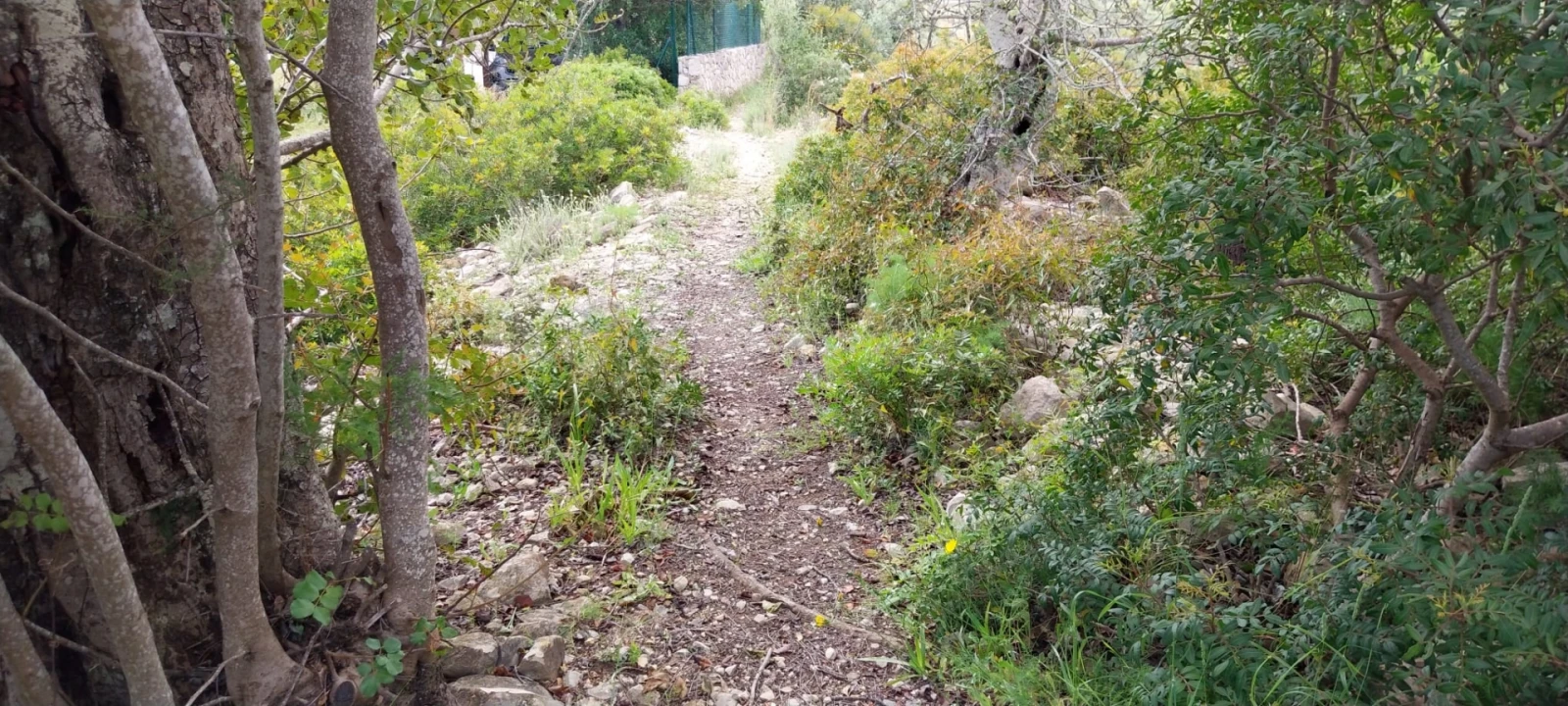 Terreno para Venda em Santa Barbara de Nexe Foto 6