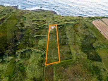 Terreno para Venda em Tornada e Salir do Porto
