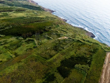 Terreno para Venda em Tornada e Salir do Porto