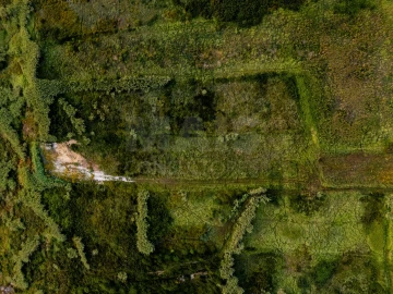 Terreno para Venda em Tornada e Salir do Porto